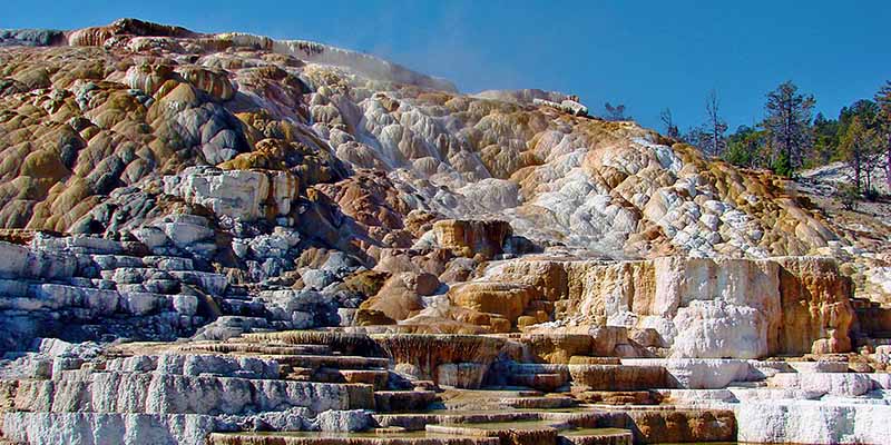 Mammoth-Hot-Springs