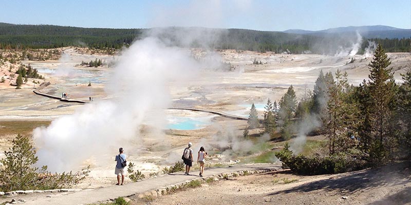 Norris-Geyser