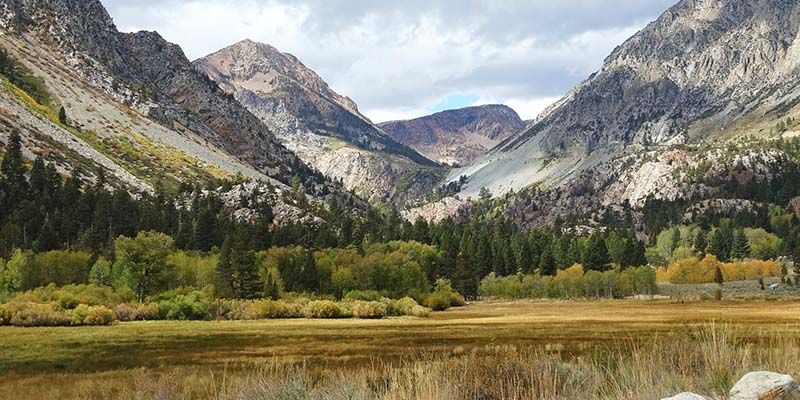 Tuolumne-Meadows